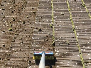 A broom is on the ground with dirt all over it.