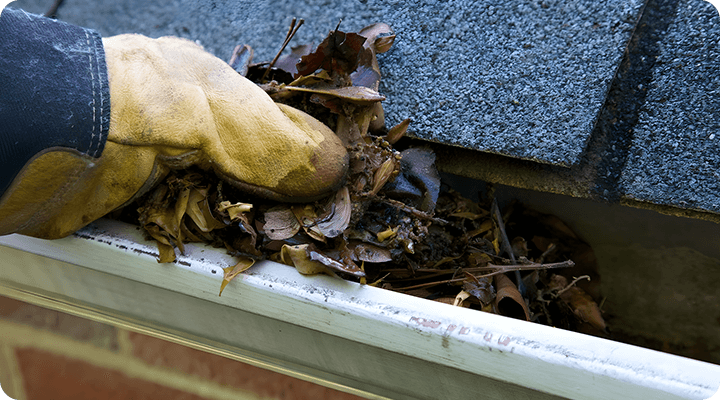 A person is cleaning leaves from the gutter.